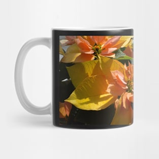 Poinsettia at The Phipps Conservatory Pittsburgh Mug